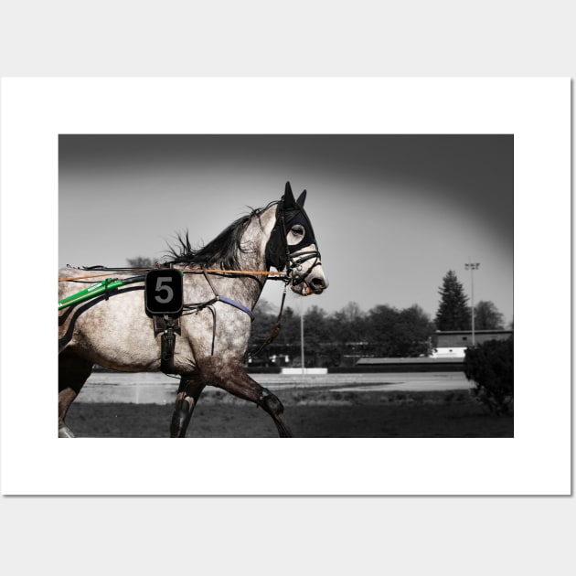 harness horse cart racing - 5 Wall Art by hottehue
